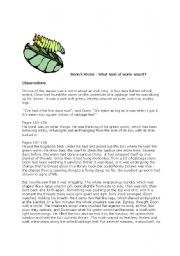 English worksheet: Bug Project for the City of Ember