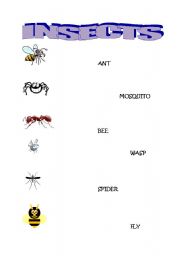 English worksheet: insects