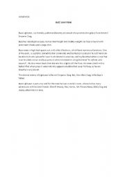 English Worksheet: my hero project: Buzz Lightyear