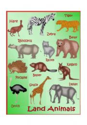 English worksheet: Land Animals