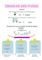 English Worksheet: singular and plural 