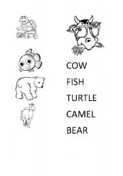 English worksheet: ANIMALS