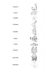 English Worksheet: MAtching - Sea Animals