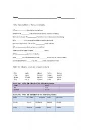 English Worksheet: plural and singular test