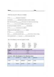 English worksheet: plural and singular test