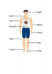 English worksheet: Part of My Body 1