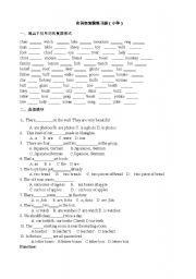 singular and plural form of nouns