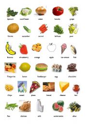 English Worksheet: food