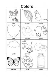 English Worksheet: Colors