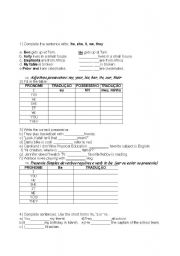 English Worksheet: present simple exercises