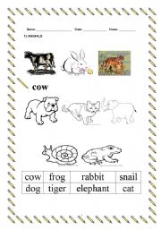 English worksheet: The animals