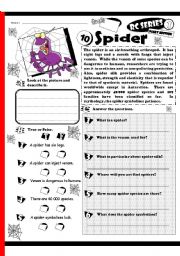 English Worksheet: RC Series Level 01_Scary Edition_10 Spider (Fully Editable)