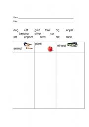 English Worksheet: Animal Plant or Mineral
