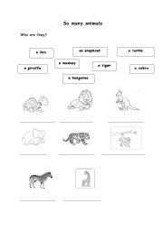 English worksheet: animals in the zoo