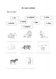 English Worksheet: animals in the zoo