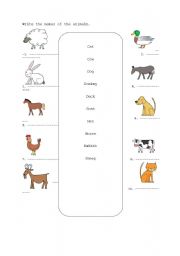 English Worksheet: Farm animals