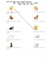 English Worksheet: Baby animals