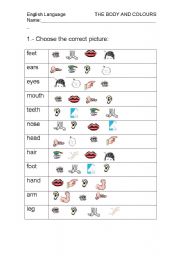 English Worksheet: Body parts