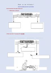 English Worksheet: WHat is an Estuary?   [YOUTUBE Fully editable]