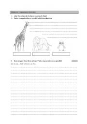 English Worksheet: Comparison of Adjectives - worksheet
