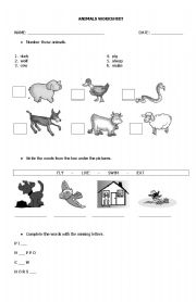 English worksheet: Animals worksheet