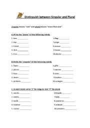 English Worksheet: singular and plural