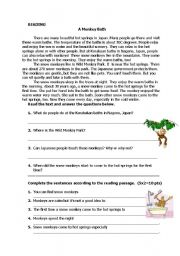 English Worksheet: A Monkey Bath