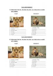 English worksheet: past and presetn