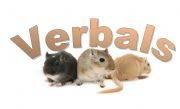 English Worksheet: Verbals