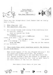 English Worksheet: food chains
