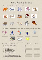 English Worksheet: Animals & weather review