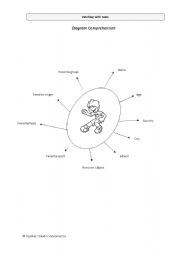 English worksheet: Diagram Cmprehension