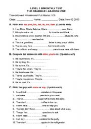 English Worksheet: some / any / many/ much / a lot of