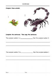 English worksheet: Big or small