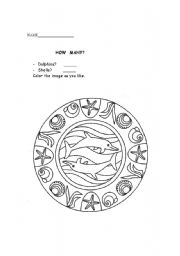 English Worksheet: How many