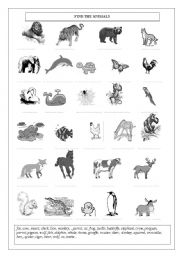 English worksheet: animals worksheet