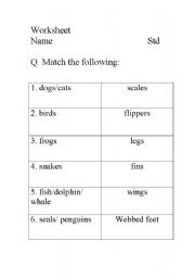 English worksheet: azaming animal