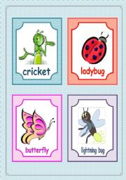 Insects flashcards - fully editable