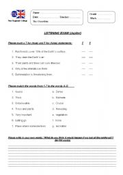 English worksheet: Second Condiitonal