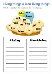 English Worksheet: living things & non-living things