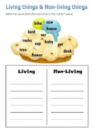 English worksheet: living things & non-living things