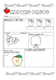 English worksheet: APPLES FACTS 