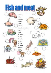 English Worksheet: Fish and meat