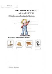 English Worksheet: body part and animals