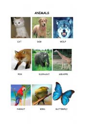 English worksheet: ANIMALS 1