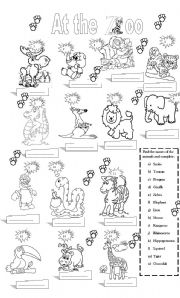 English Worksheet: At the zoo