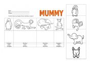 English worksheet: ANIMALS