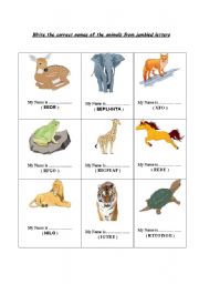 English Worksheet: Animal Names