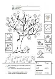 English Worksheet: Autumn
