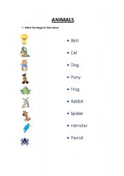 English worksheets: Animals English worksheets: Animals